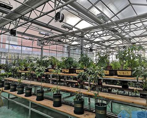 植物工厂 植物生长室 项目方案设计 整体工程建设规划 技术指导